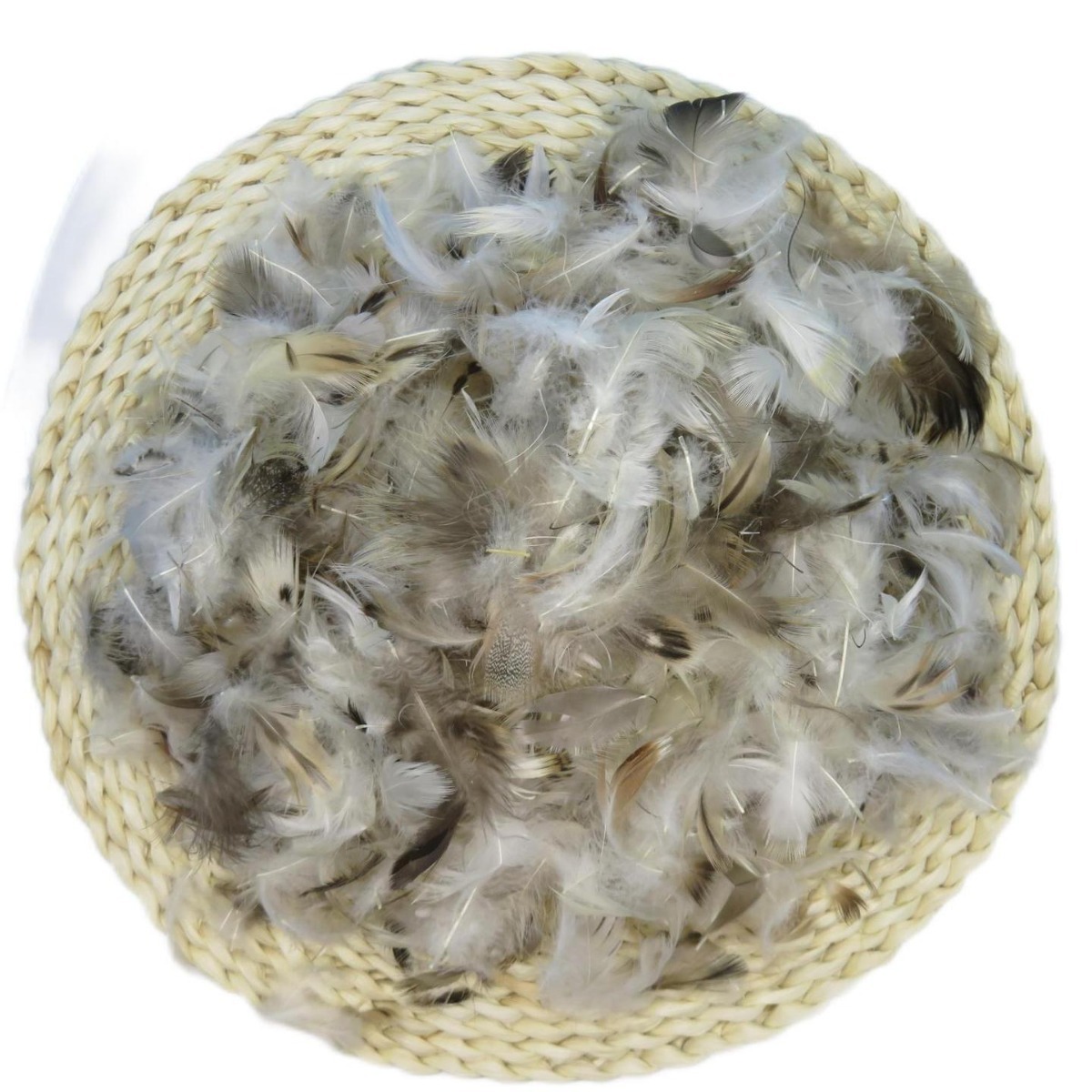 4-6CM GREY DUCK FEATHER DUVET CUSHION PILLOW INNER FILLING